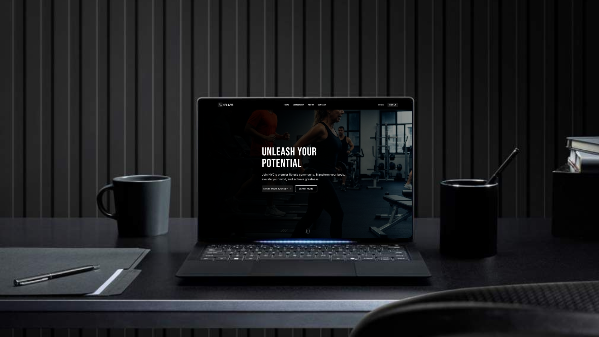 Gym Alpha - Premier fitness center